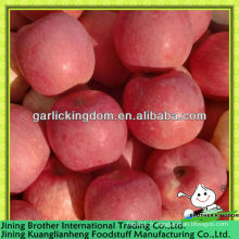 Chine fuji apple